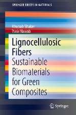 Lignocellulosic Fibers: Sustainable Biomaterials for Green Composites