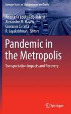 Pandemic in the Metropolis: Transportation Impacts and Recovery