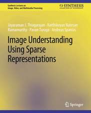 Image Understanding using Sparse Representations