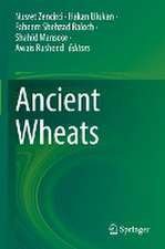 Ancient Wheats