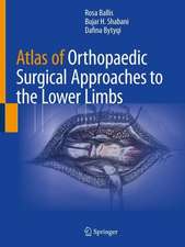 Atlas of Orthopaedic Surgical Approaches to the Lower Limbs