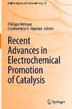 Recent Advances in Electrochemical Promotion of Catalysis