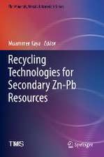 Recycling Technologies for Secondary Zn-Pb Resources