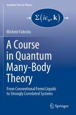 A Course in Quantum Many-Body Theory: From Conventional Fermi Liquids to Strongly Correlated Systems