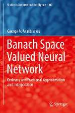 Banach Space Valued Neural Network: Ordinary and Fractional Approximation and Interpolation