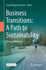 Business Transitions: A Path to Sustainability: The CapSEM Model