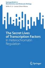 The Secret Lives of Transcription Factors: In Heterochromatin Regulation