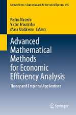 Advanced Mathematical Methods for Economic Efficiency Analysis: Theory and Empirical Applications