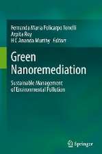 Green Nanoremediation: Sustainable Management of Environmental Pollution