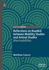 Reflections on Roadkill between Mobility Studies and Animal Studies: Altermobilities