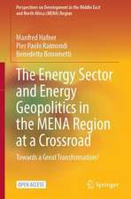 The Energy Sector and Energy Geopolitics in the MENA Region at a Crossroad: Towards a Great Transformation?