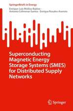 Superconducting Magnetic Energy Storage Systems (SMES) for Distributed Supply Networks