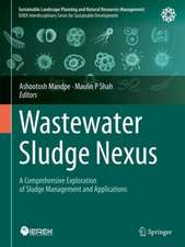 Wastewater Sludge Nexus: A Comprehensive Exploration of Sludge Management and Applications