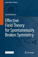 Effective Field Theory for Spontaneously Broken Symmetry