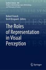 The Roles of Representation in Visual Perception