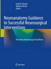 Neuroanatomy Guidance to Successful Neurosurgical Interventions: The Torch of Neurosurgical Excellence