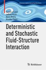 Deterministic and Stochastic Fluid-Structure Interaction
