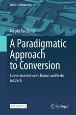 A Paradigmatic Approach to Conversion
