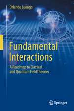 Fundamental Interactions