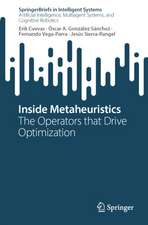 Inside Metaheuristics