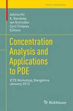 Concentration Analysis and Applications to PDE: ICTS Workshop, Bangalore, January 2012