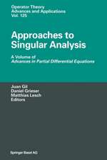 Approaches to Singular Analysis