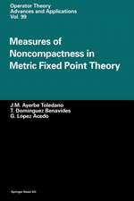 Measures of Noncompactness in Metric Fixed Point Theory