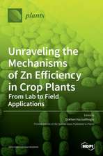 Unraveling the Mechanisms of Zn Efficiency in Crop Plants