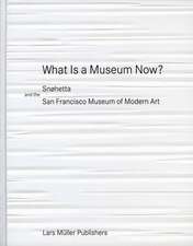 What Is a Museum Now?