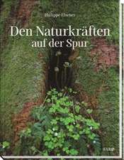 Den Naturkräften auf der Spur