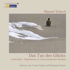 Das Tao des Glücks - Hörbuch