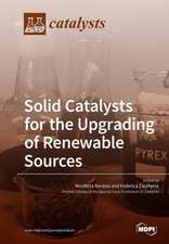 Solid Catalysts for the Upgrading of Renewable Sources