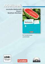 Lernstufen Mathematik 6. Schuljahr. Arbeitsheft mit eingelegten Lösungen und CD-ROM. Differenzierende Ausgabe Nordrhein-Westfalen