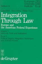 Political Organs, Integration Techniques and Judicial Process