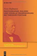 Photographie, Malerei und visuelle Wahrnehmung bei Theodor Fontane