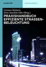 Praxishandbuch effiziente Straßenbeleuchtung