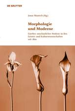 Morphologie und Moderne