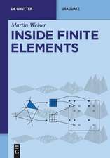 Finite Elements