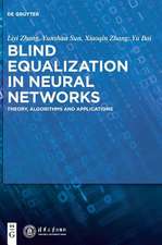 Blind Equalization in Neural Networks