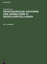 Amphibien: aus: Mikroskopische Anatomie der Wirbeltiere in Einzeldarstellungen, 3