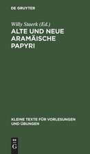 Alte und neue aramäische Papyri: übersetzt und erklärt