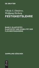 Elastizität, Plastizität und Stabilität der Flächentragwerke: aus: Festigkeitslehre, 2