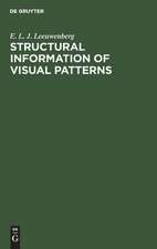 Structural information of visual patterns: an efficient coding system in perception