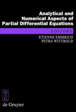 Analytical and Numerical Aspects of Partial Differential Equations: Notes of a Lecture Series