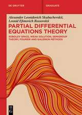 Partial Differential Equations Theory