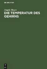 Die Temperatur des Gehirns