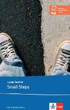 Small Steps