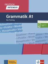 Deutsch intensiv Grammatik A1. Buch + online