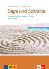 Sage und Schreibe. Übungswortschatz Grundstufe Deutsch A1-B1