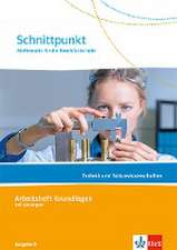 Schnittpunkt Ausgabe N. Mathematik für die Berufsfachschule - Technik und Naturwissenschaften